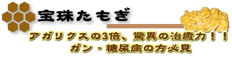 宝珠たもぎ アガリクスの3倍、驚異の治癒力!! ガン・糖尿病の方必見